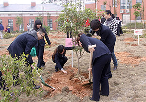 綠之韻集團(tuán)開展3?12植樹活動