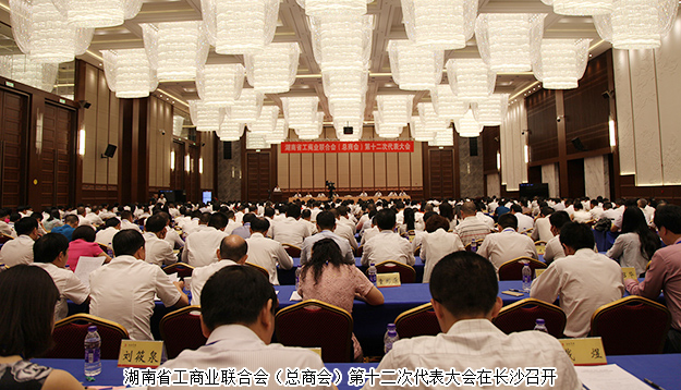 胡國安當選湖南省第十二屆工商聯(lián)（總商會）副會長