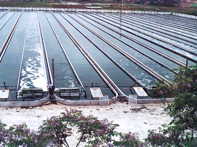 綠之韻集團(tuán)南京開源微藻生物工程有限公司