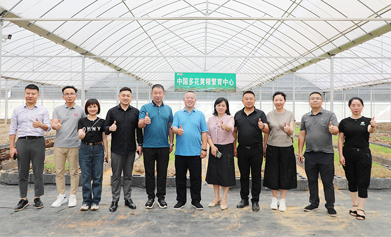 盡職履責 共謀家鄉(xiāng)產業(yè)振興 | 胡國安董事長考察安化黃精產業(yè)發(fā)展，助力鄉(xiāng)村振興造福桑梓